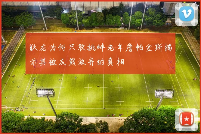 狄龙为何只敢挑衅老年詹帕金斯揭示其被灰熊放弃的真相